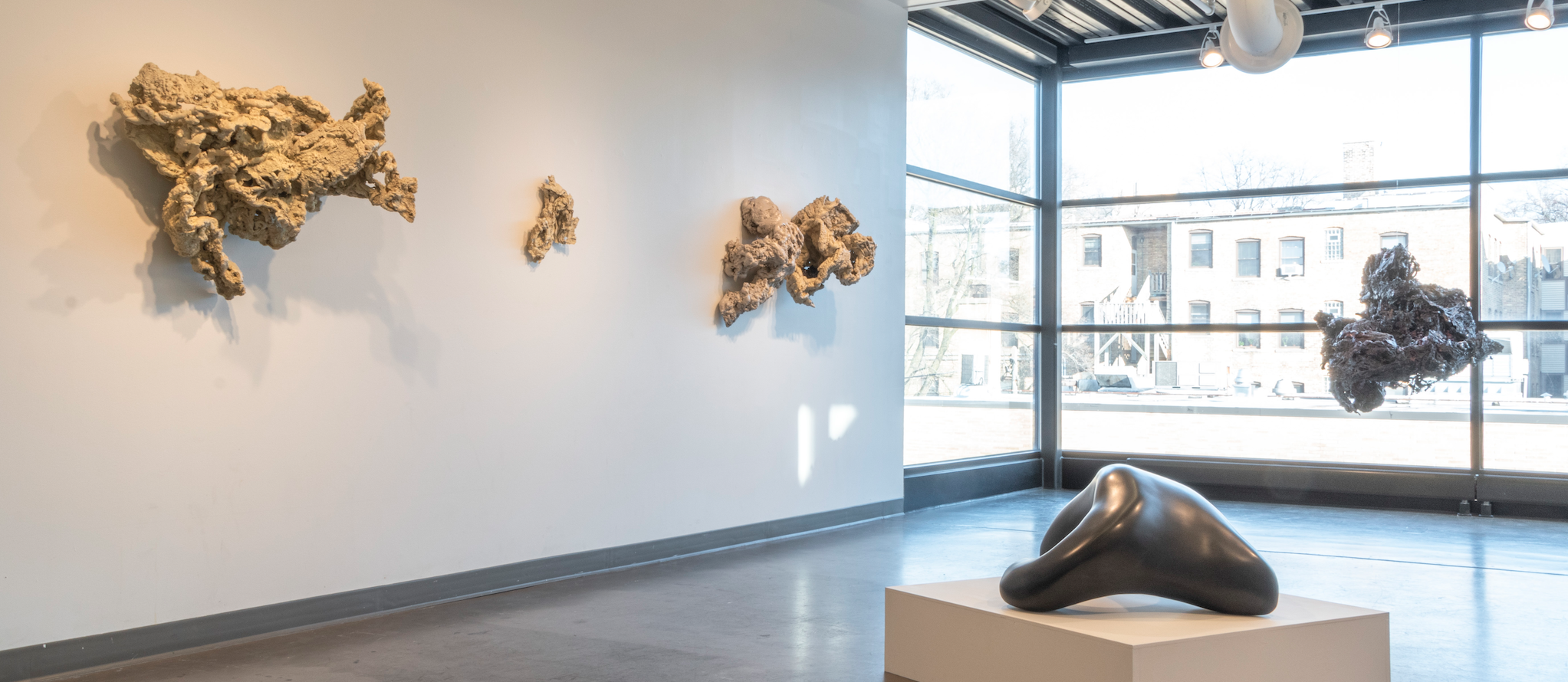 Susan Smith Trees: Installation View