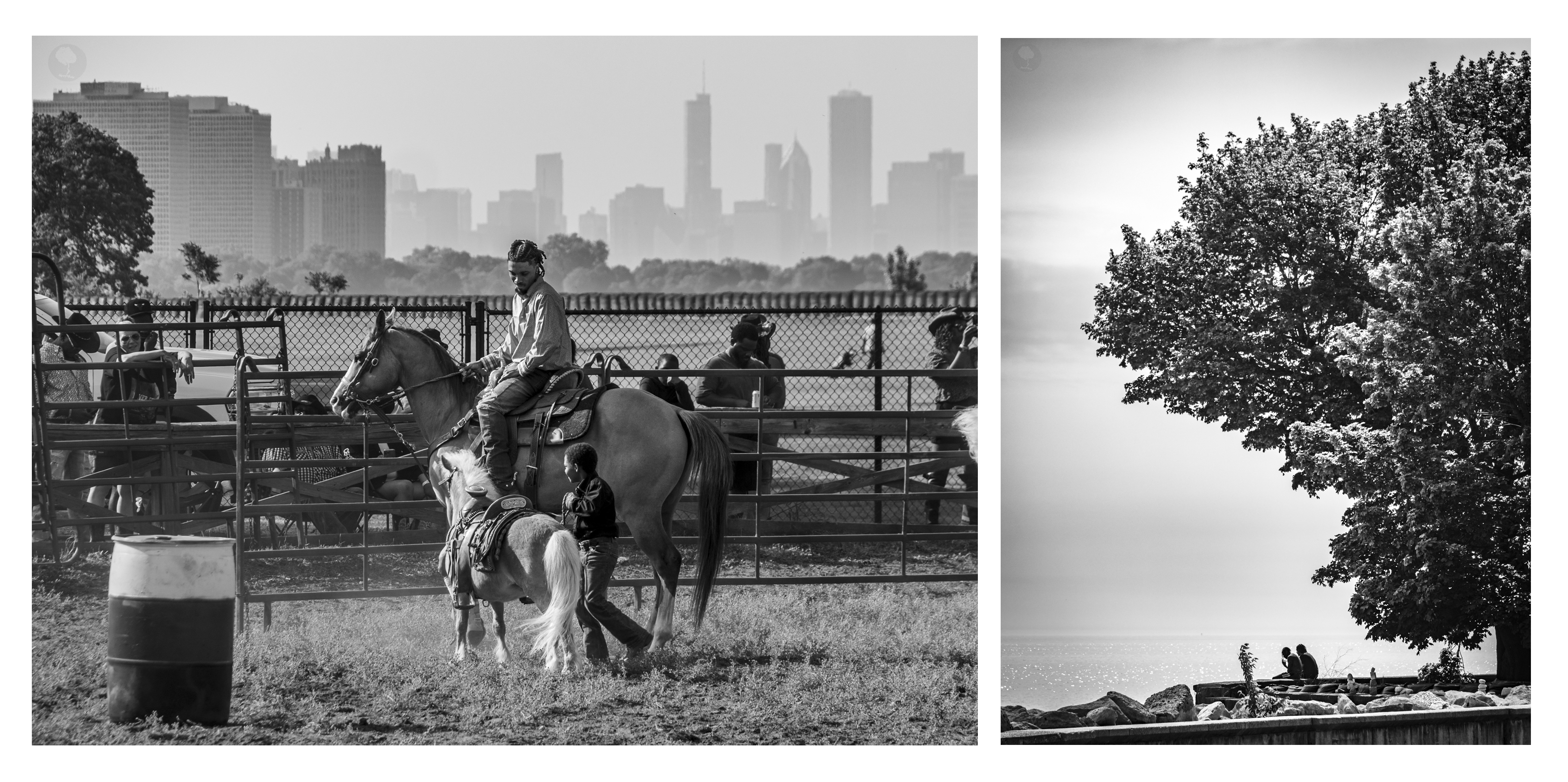 images by Eli Williamson