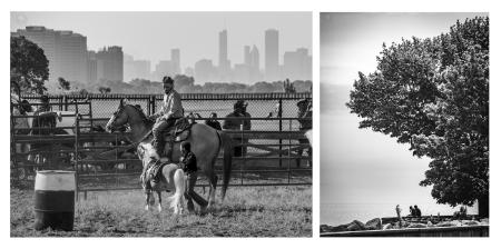 images by Eli Williamson