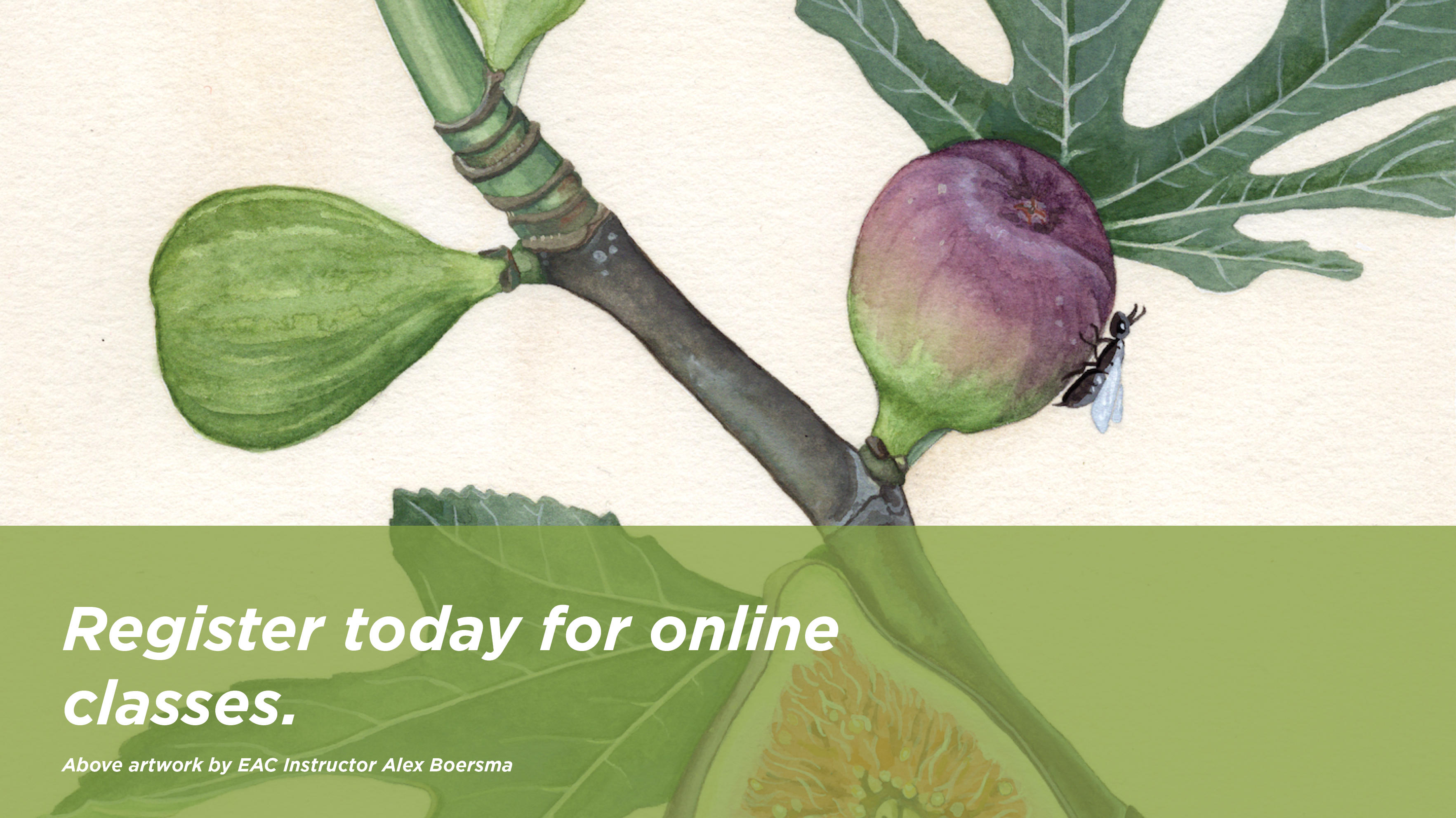 Registration for online classes are now open